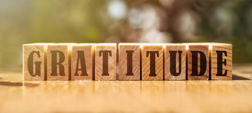 The Transformative Power of Gratitude Practice: Cultivating Appreciation for a Fulfilling Life
